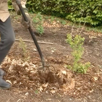 Gjødsel for blåbær Gjødsel for blåbær